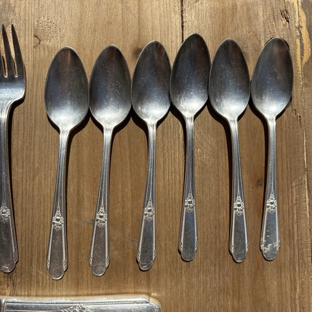 Memory-Hiawatha by WM Rogers/INTERNATIONALSILVER 6‎ Knifes, Salad Forks, Spoons